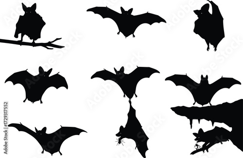 Set of black bat silhouettes in flying, hanging, perched, and resting poses – vector illustration for Halloween, wildlife, and spooky themes