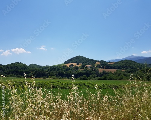 Rural landscape with green meadow and mountains in the background.