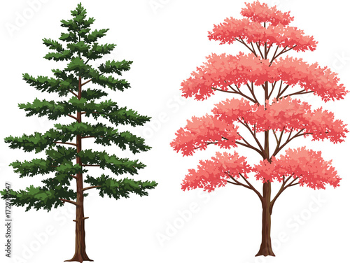 Coniferous tree, deciduous tree, pink foliage, green needles, seasonal contrast, forest diversity, botanical landscape, tree comparison, nature scene, vibrant canopy