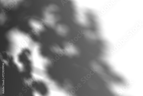 Transparent shadow of tree leaves, close-up view