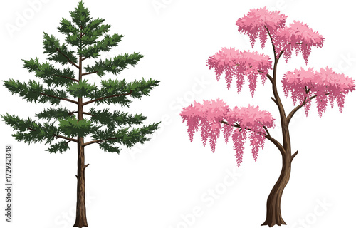 Coniferous tree, weeping blossom tree, cascading pink flowers, green needles, seasonal contrast, nature diversity, botanical landscape, tree comparison, vibrant canopy, flora