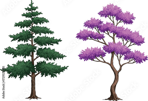 Evergreen pine tree illustration, purple flowering tree vector, natural forest artwork, seasonal tropical foliage design, outdoor garden decoration, botanical landscape background