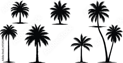 Black silhouette palm trees vector illustration set with tropical variations, hammock between trunks, summer vacation nature design for beach holiday artwork