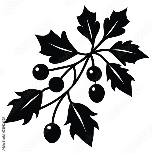 mistletoe bunch vector icon