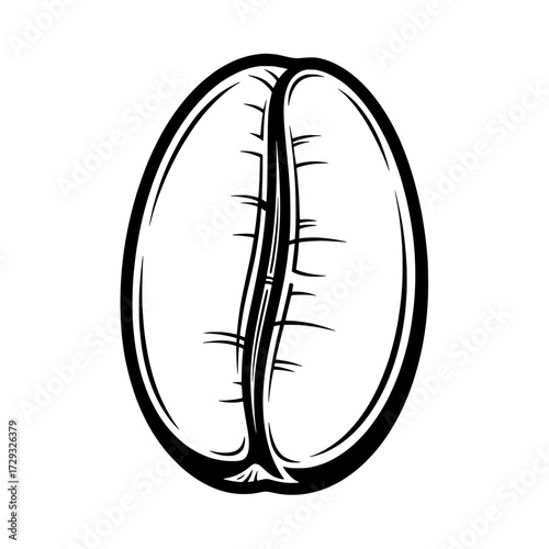 Monochrome Coffee Bean: A stylized, monochrome illustration of a single coffee bean.