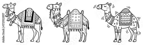 Set of Three Hand Drawn Camels with Ethnic Ornaments