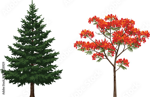 Evergreen pine tree illustration, vibrant red flower tree vector, natural forest background, seasonal botanical artwork, outdoor landscape design, colorful decorative garden scenery