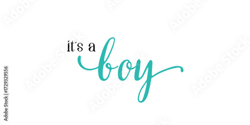 Card template with a multi-colored inscription. Vector illustration for gender reveal party