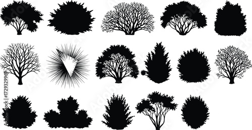 Silhouette trees, shrub shapes, botanical foliage, natural plant forms, coniferous and deciduous, landscape design, garden elements, nature illustration, vector art, black silhouettes