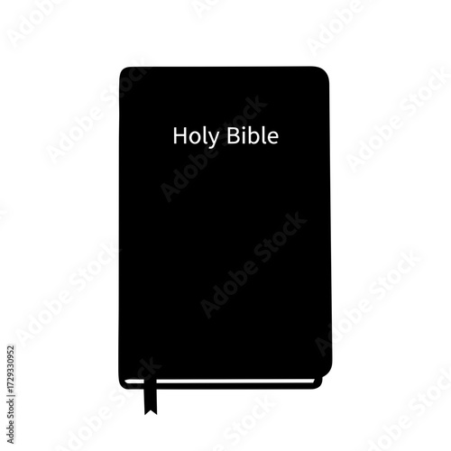 Black Holy Bible with white text on cover  