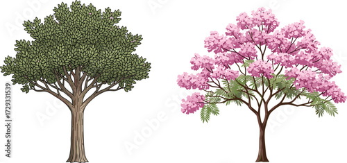 Green leafy tree and pink flowering tree illustration, natural botanical vector artwork, detailed garden design, isolated forest nature element, decorative flora