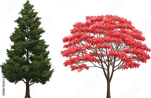 Green leafy tree illustration, red flowering tree vector, seasonal foliage design, natural forest artwork, tropical landscape decoration, outdoor botanical garden background