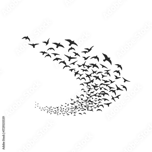 Silhouette of flying birds in dynamic formation against white background