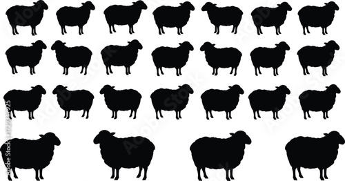 Black sheep silhouettes, animal pattern, farm livestock, flock illustration, uniformity and individuality, minimalist design, vector style, detailed contrast, herd concept, background