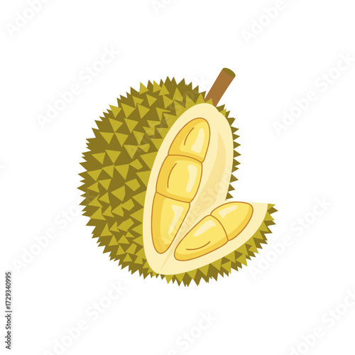 Duran fruit icon logo flat vector design