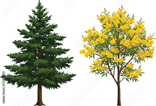 Green pine tree illustration, yellow blooming flower tree vector, natural seasonal background, decorative forest artwork, colorful botanical design, outdoor garden nature