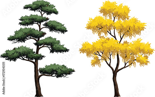 Green pine tree illustration, yellow blossom tree vector, seasonal foliage design, outdoor botanical plants, natural forest background, decorative garden artwork, spring nature