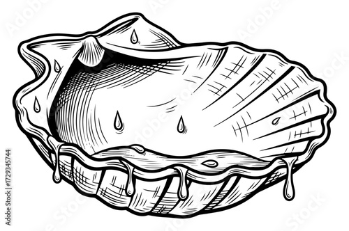 Vintage Engraved Scallop Seashell with Water Drops