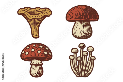 Assortment of wild forest mushrooms in a rustic hand drawn style featuring various fungi species and types