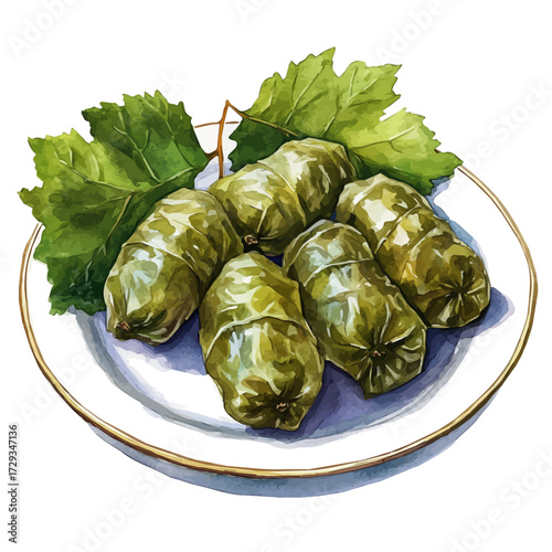 Stuffed Grape Leaves Platter, watercolor painting vector, isolated on a white background.