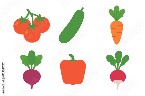 Assortment of fresh garden vegetables including tomatoes, cucumber, carrot, beetroot, bell pepper, and radish
