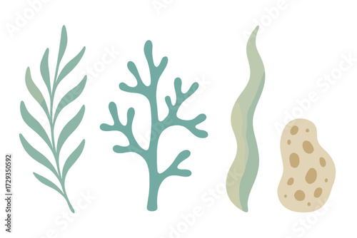 Stylized underwater flora and coral elements with soft watercolor texture on a clean white background for design