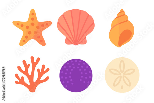 A vibrant and diverse collection of marine life elements and underwater organisms including various shells, coral, starfish, sea urchin, and sand dollar
