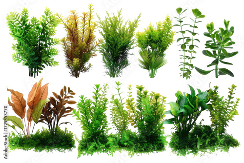 Vibrant collection of artificial aquatic plants arranged artistically for aquarium decoration in bright lighting isolated on transparent background