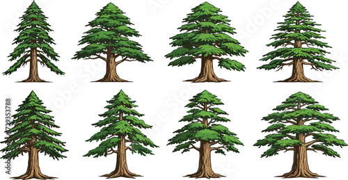 Collection of eight pine and conifer trees with green leaves and brown trunks isolated on white background, vector illustration