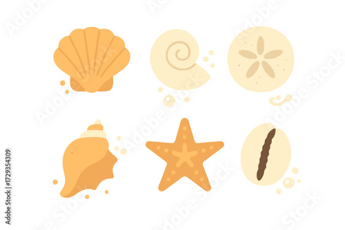 Stylized collection of diverse marine seashells and starfish with sand dollar, conch shell, and scallop