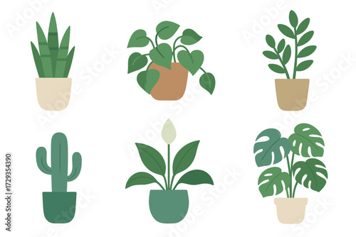 Collection of various popular green houseplants in decorative pots for interior design, home decor, and botanical themes