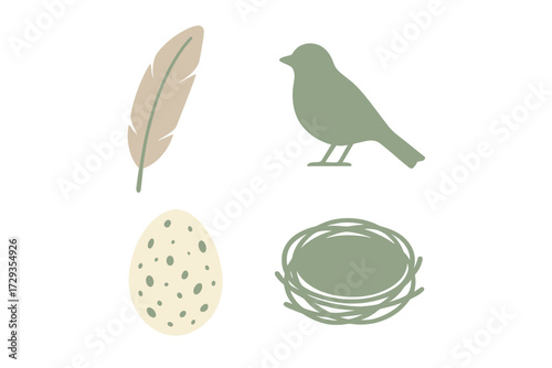 Stylized bird, nest, egg, and feather collection in natural earthy tones for spring, nature, and wildlife themes