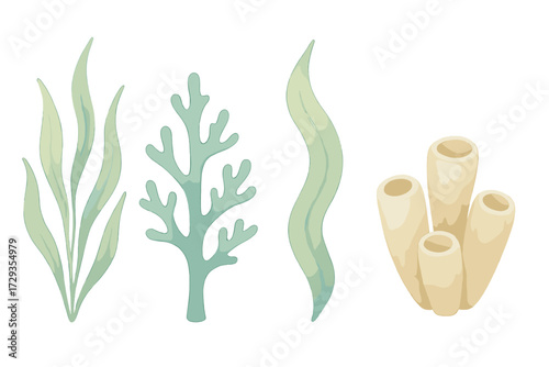 Assortment of different green underwater plants and a light brown marine sponge isolated on a clean white background for aquatic themes