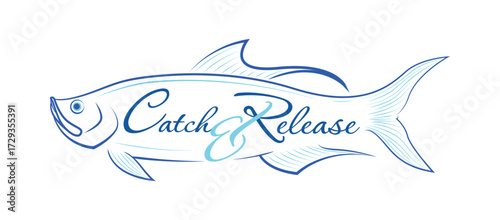 Line art illustration of a tarpon fish, with the word catch and release written on it. Perfect for a fishing-themed logo, label, or sticker design.