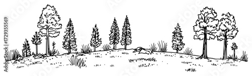 Forest Meadow Trees Landscape Panorama Line Art