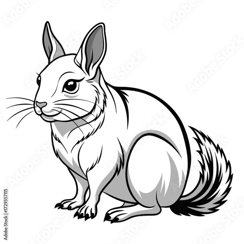 Stylized chinchilla illustration in black and white line art