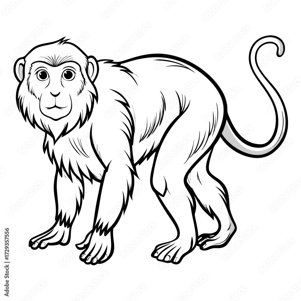 Fototapeta premium Cartoon monkey illustration line art, standing in side view