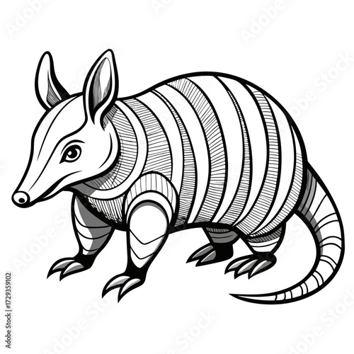 Black and white armadillo illustration with striped shell detail