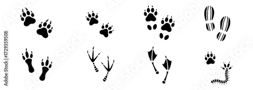 Track the adventure with paw prints, footprints and trails of various creatures exploring nature's wonders