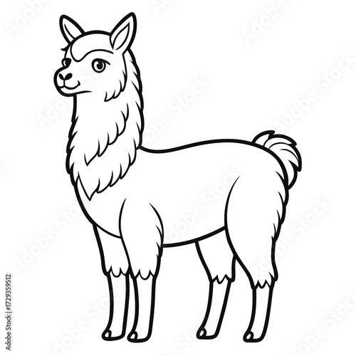 Cartoon Llama Full Body Outline on White Background