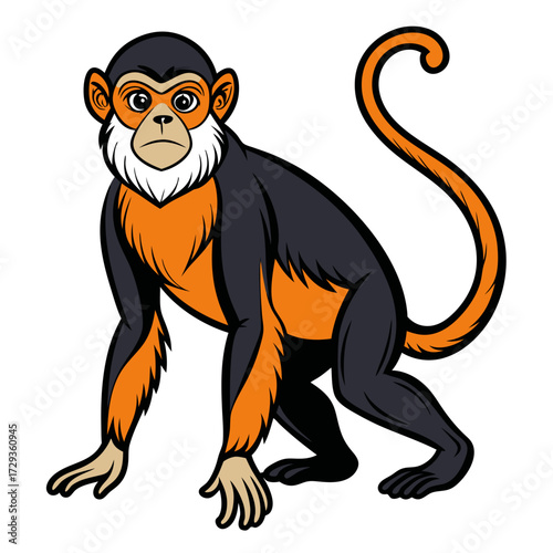 Stylized Saki Monkey Illustration with Detailed Line Work and Color