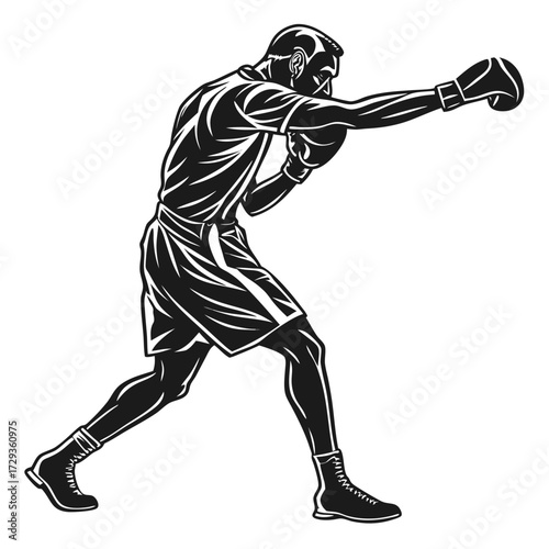 Boxer Man Fighting Pose Silhouette
