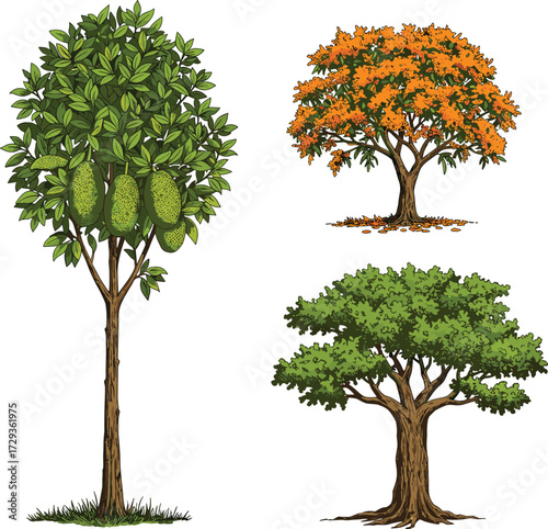Plum fruit tree with purple fruits, green grass patch, and autumn red foliage tree, isolated botanical illustration for seasonal nature stock