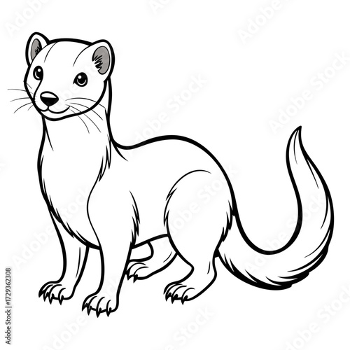 Illustration of a cute white ermine standing and smiling