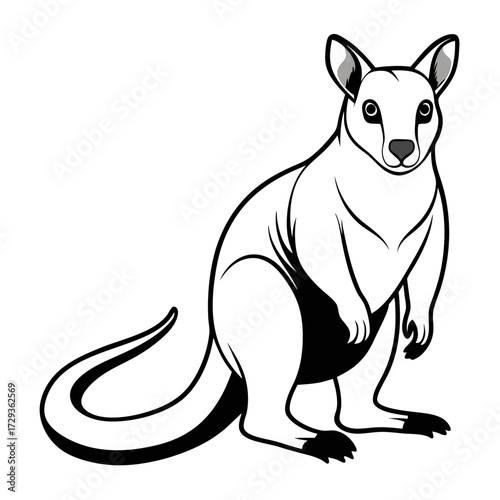 Stylized kangaroo illustration standing on white background looking forward