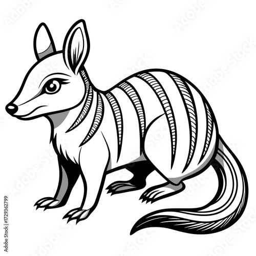 Numbat Illustration: Detailed Black and White Vector Image