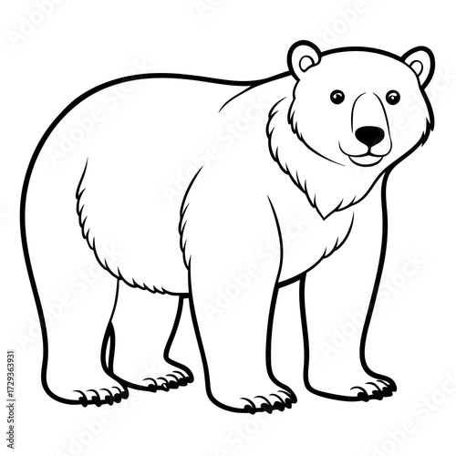 Polar bear line drawing illustration stock image design art