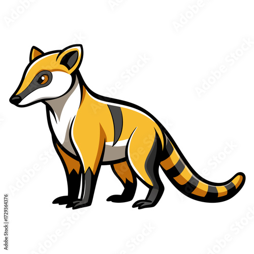 Cartoon coati animal standing alert on white background illustration