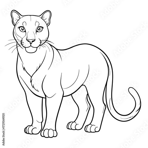 Detailed outline drawing of a standing cougar or puma