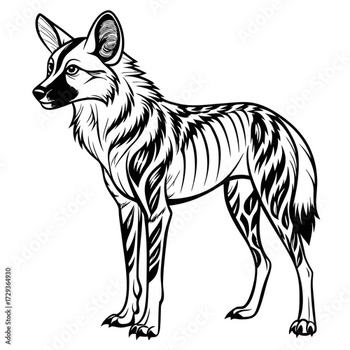 African wild dog line art illustration in graphic style